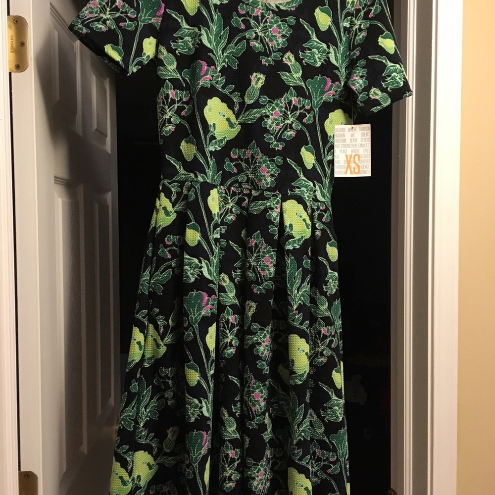 Lularoe XS green and pink flowered Amelia dress